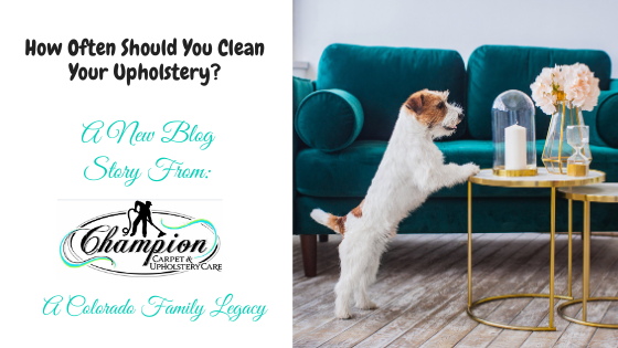 How Often Should You Clean Your Upholstery?