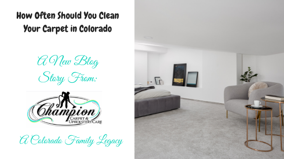 How Often Should You Clean Your Carpet in Colorado