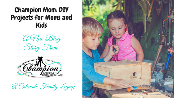 Champion Mom: DIY Projects for Moms and Kids