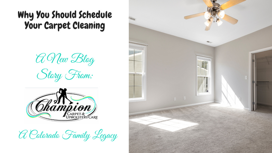 Why You Should Schedule Your Carpet Cleaning