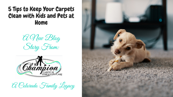 5 Tips to Keep Your Carpets Clean with Kids and Pets at Home