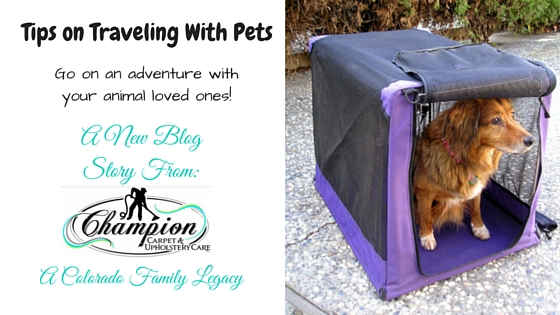 Tips on Traveling with Pets