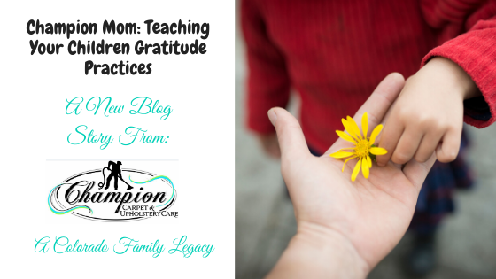 Champion Mom: Teaching Your Children Gratitude Practices