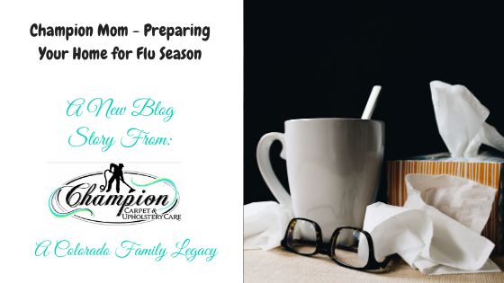 Champion Mom - Preparing Your Home for Flu Season