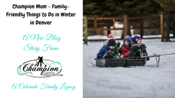 Champion Mom - Family-Friendly Things to Do in Winter in Denver