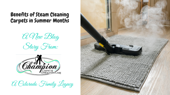 Benefits of Steam Cleaning Carpets in Summer Months