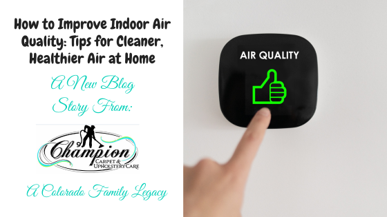 How to Improve Indoor Air Quality: Tips for Cleaner, Healthier Air at Home
