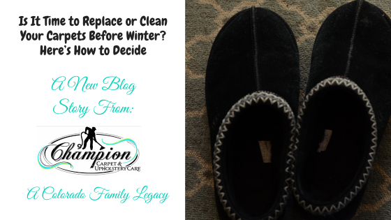 Is It Time to Replace or Clean Your Carpets Before Winter? Here’s How to Decide