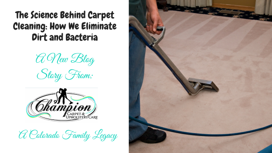The Science Behind Carpet Cleaning: How We Eliminate Dirt and Bacteria
