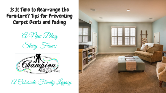 Is It Time to Rearrange the Furniture? Tips for Preventing Carpet Dents and Fading