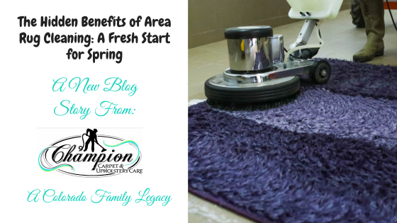The Hidden Benefits of Area Rug Cleaning: A Fresh Start for Spring