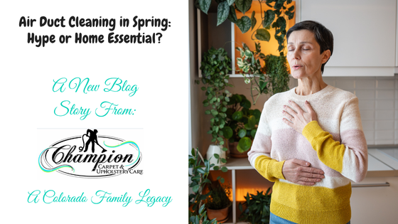 Air Duct Cleaning in Spring: Hype or Home Essential?