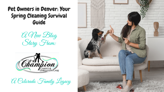 Pet Owners in Denver: Your Spring Cleaning Survival Guide