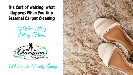 The Cost of Waiting: What Happens When You Skip Seasonal Carpet Cleaning