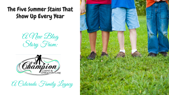 The Five Summer Stains That Show Up Every Year