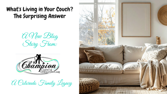 What's Living in Your Couch? The Surprising Answer