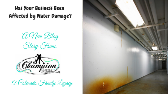 Has Your Business Been Affected by Water Damage?