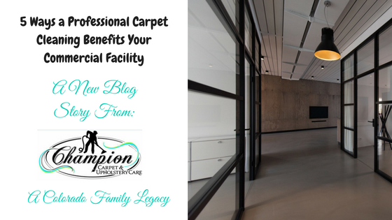 5 Ways a Professional Carpet Cleaning Benefits Your Commercial Facility