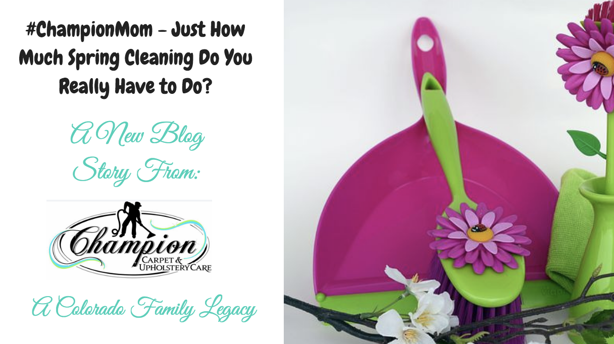 #ChampionMom - Just How Much Spring Cleaning Do You Really Have to Do?